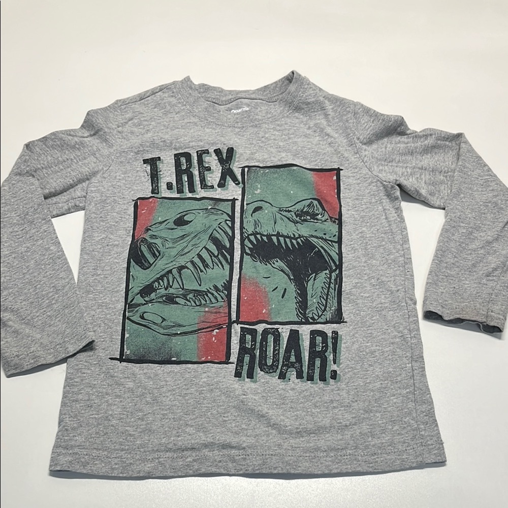 Gray T-Rex Roar Kids Shirt